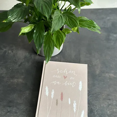 Apartment Da Vinci Eisenach