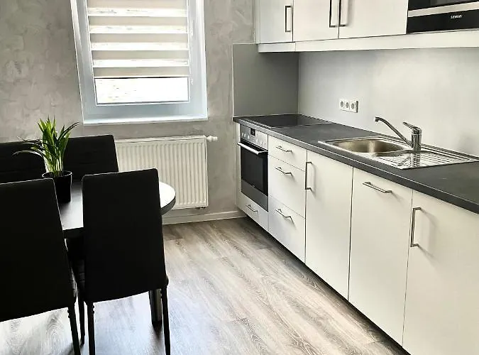 Appartement Da Vinci Eisenach