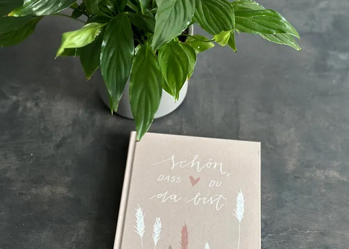 Appartement Da Vinci Eisenach